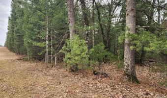 Dyke Avenue lot 8, Adams, WI 53910