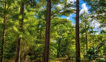 1581 Hwy C 180, Baker, FL 32531