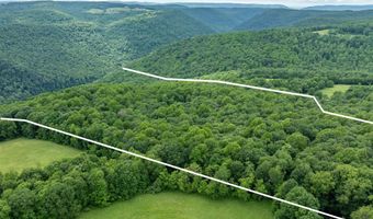 000 Bear Ridge Rd, Albright, WV 26519