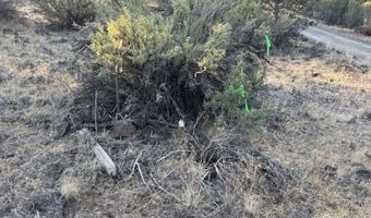 Brant Drive, Bonanza, OR 97623