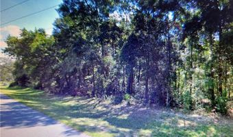 8249 NW 172nd Ln, Fanning Springs, FL 32693