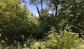 NE 197th Ct, Amboy, WA 98601