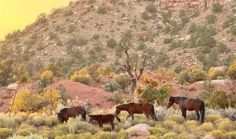 E Rnch RD, Apple Valley, UT 84737