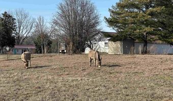 7066 Vivians Rd, Anderson, AL 35610