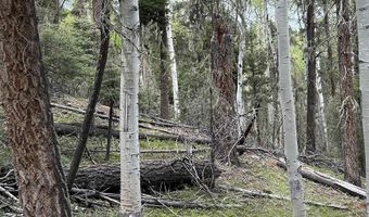 Lot 1419 Sacramento, Angel Fire, NM 87710