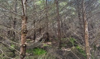 Steer Creek Rd, Blodgett, OR 97326
