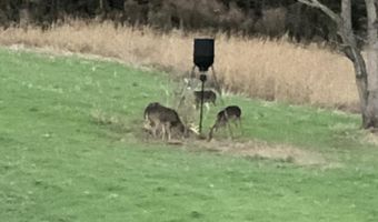 001 Farr Rd, Bolton, MS 39041