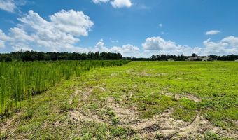 5 Acres Val Del Rd, Adel, GA 31620