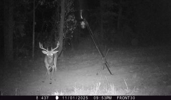 80 N4130 Rd, Antlers, OK 74523