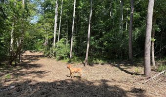 HOLLYWOOD RD, Appomattox, VA 24522
