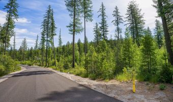 477 Chief Cliff Trl, Bigfork, MT 59911
