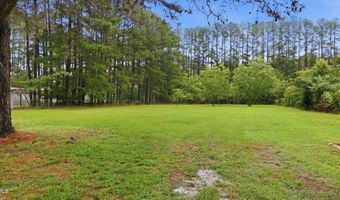 9111 Pace Rd, Bailey, NC 27807