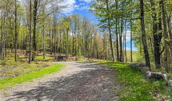 State Route 28 lot # 10, Andes, NY 13731