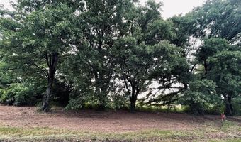 Lot 6 COUNTY ROAD 1560, Alba, TX 75410