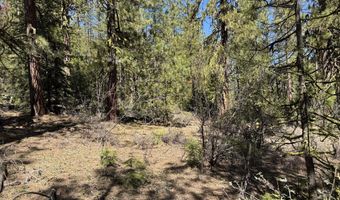 Horned Owl Way 385461, Bonanza, OR 97623