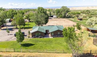 10341 Tongue Creek Rd, Austin, CO 81410