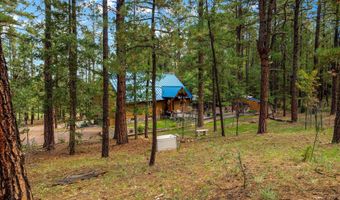 2 County Road 2081, Alpine, AZ 85920