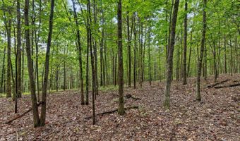 12712 Cranfield Rd, Birchwood, TN 37308