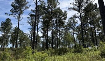 0 S County Road 33, Ashford, AL 36312