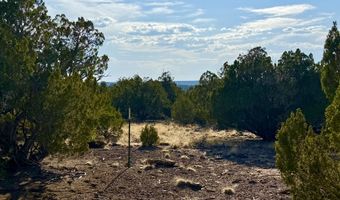 37 Co Rd N8174 10.1 Acres, Concho, AZ 85924