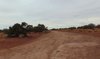 42 N5576, Concho, AZ 85924