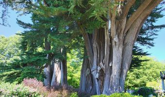 15954 SHORT Way, Brookings, OR 97415