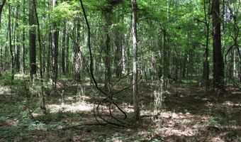 00 Pinola Braxton Rd, Braxton, MS 39044