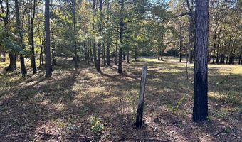 CR 260, Bruce, MS 38915