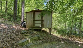 7166 COUNTY ROAD 40, Arley, AL 35541