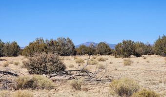 251 Se4 Juniperwood Rnch, Ash Fork, AZ 86320
