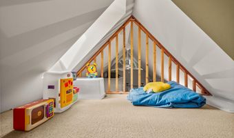 431 W Hopkins Ave, Aspen, CO 81611