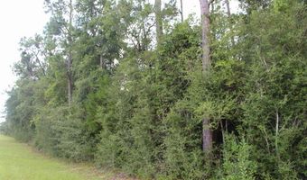 0 Lakepoint Rd, Alford, FL 32420