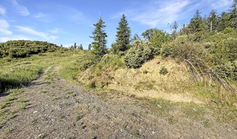466 GARDNER RIDGE Rd, Brookings, OR 97415