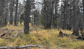 1335 Skyview Way, Angel Fire, NM 87710