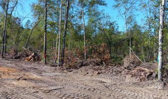 Londe Lane, Barnwell, SC 29812