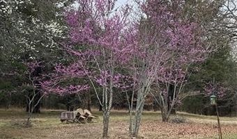 1183 Romia, Achille, OK 74726