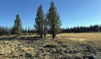 Bull Pine, Beatty, OR 97621