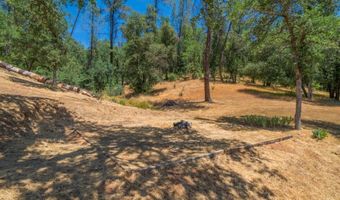 17972 Wild Weed Way, Anderson, CA 96007