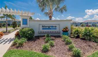 331 MANGROVE SHADE Cir, Apollo Beach, FL 33572