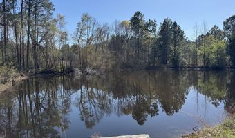 442 Fox Run Rd, Adrian, GA 31002