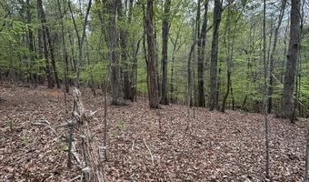 Mockingbird Ln, Bassett, VA 24055