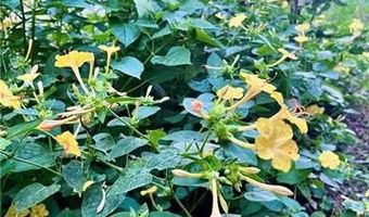 2501 MARYE St, Alexandria, LA 71301