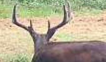 240 Magnolia, Bennington, OK 74723