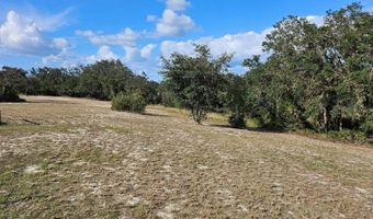 667 FAZZINI Rd, Babson Park, FL 33827