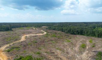 SE Cole Drive, Bogue Chitto, MS 39629