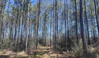 01 Robinsonville Rd, Atmore, AL 36502
