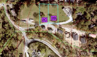 99999 George Allen Rdg 2C, Arden, NC 28704