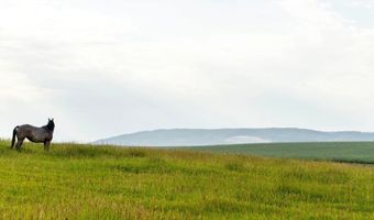 TBD E 1400 N, Ashton, ID 83420