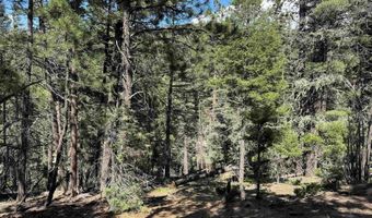 El Vado Way lot 1662, Angel Fire, NM 87710