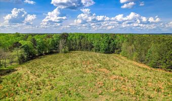 6995 Cobbham Rd, Appling, GA 30802